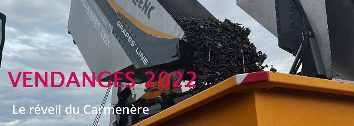 Vendanges 2022